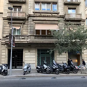 https://somnio-hostels.catalonia-hotels.com